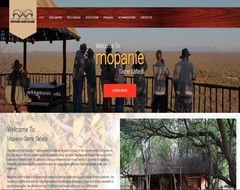 web design protfolio